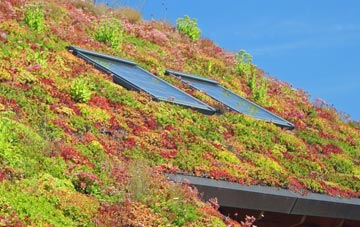 Stanwardine In The Fields living roof systems