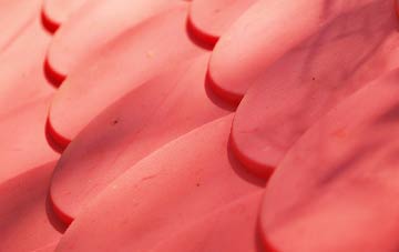 Stanwardine In The Fields plastic roof costs