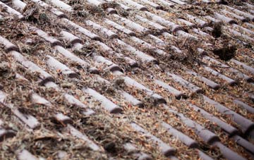 Stanwardine In The Fields roof cleaning companies