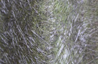 Stanwardine In The Fields fibreglass roof work